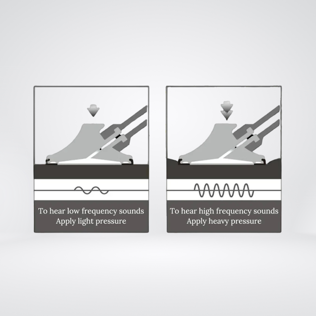 Stethoskop - anatomedic