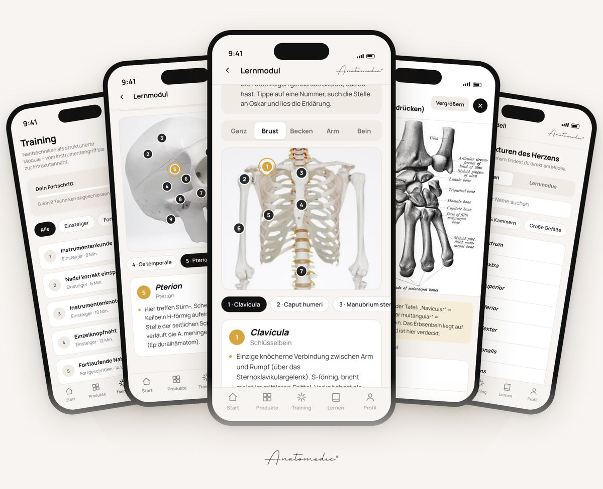 Die Anatomedic App mit Lernmodulen zu Nahtset, Herz, Schädel und Skelett