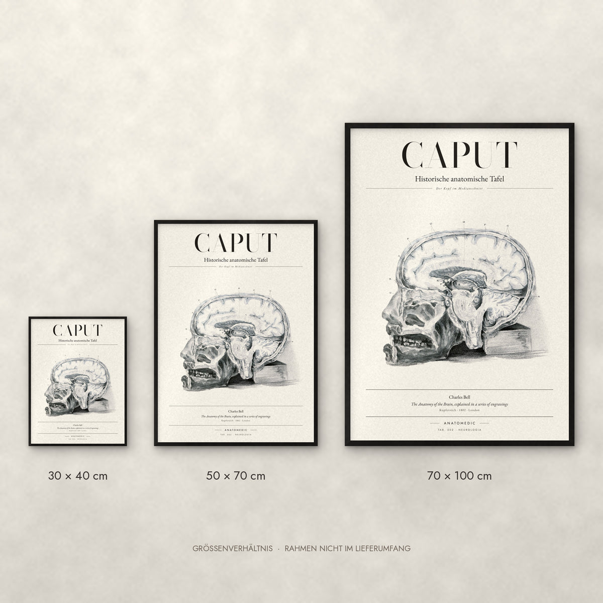 Caput Poster im Größenvergleich: 30 × 40, 50 × 70 und 70 × 100 cm