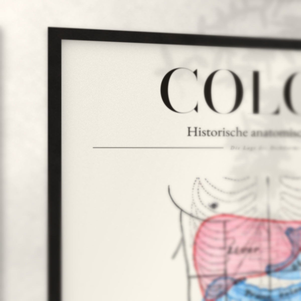 Nahaufnahme von Rahmenecke und Titel „Colon“