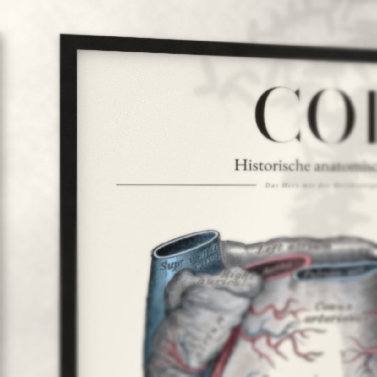 Nahaufnahme von Rahmenecke und Titel „Cor“