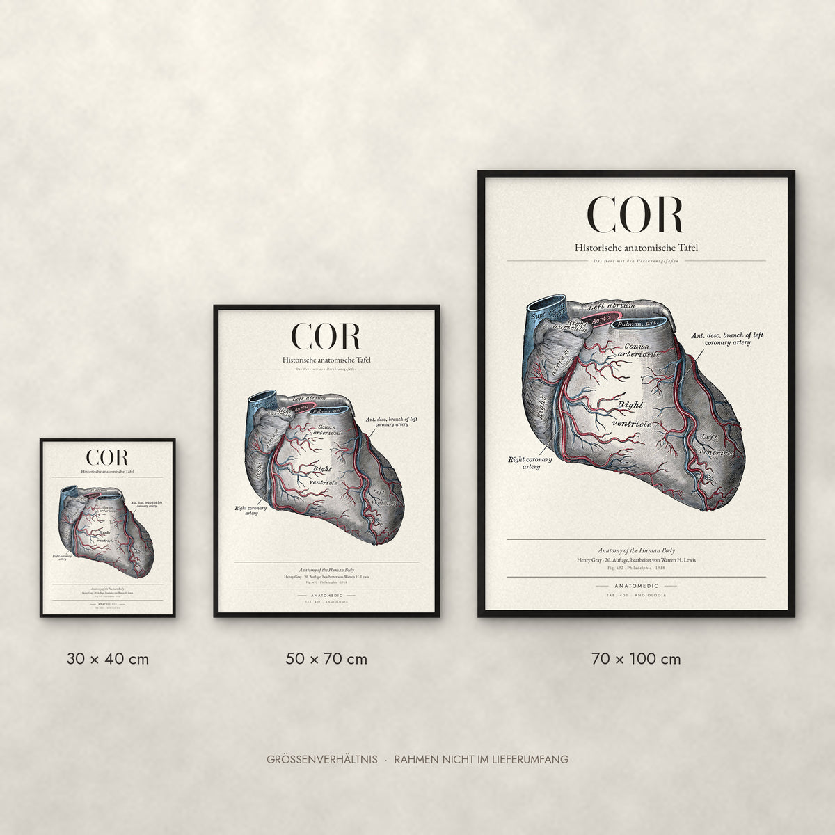 Cor Poster im Größenvergleich: 30 × 40, 50 × 70 und 70 × 100 cm