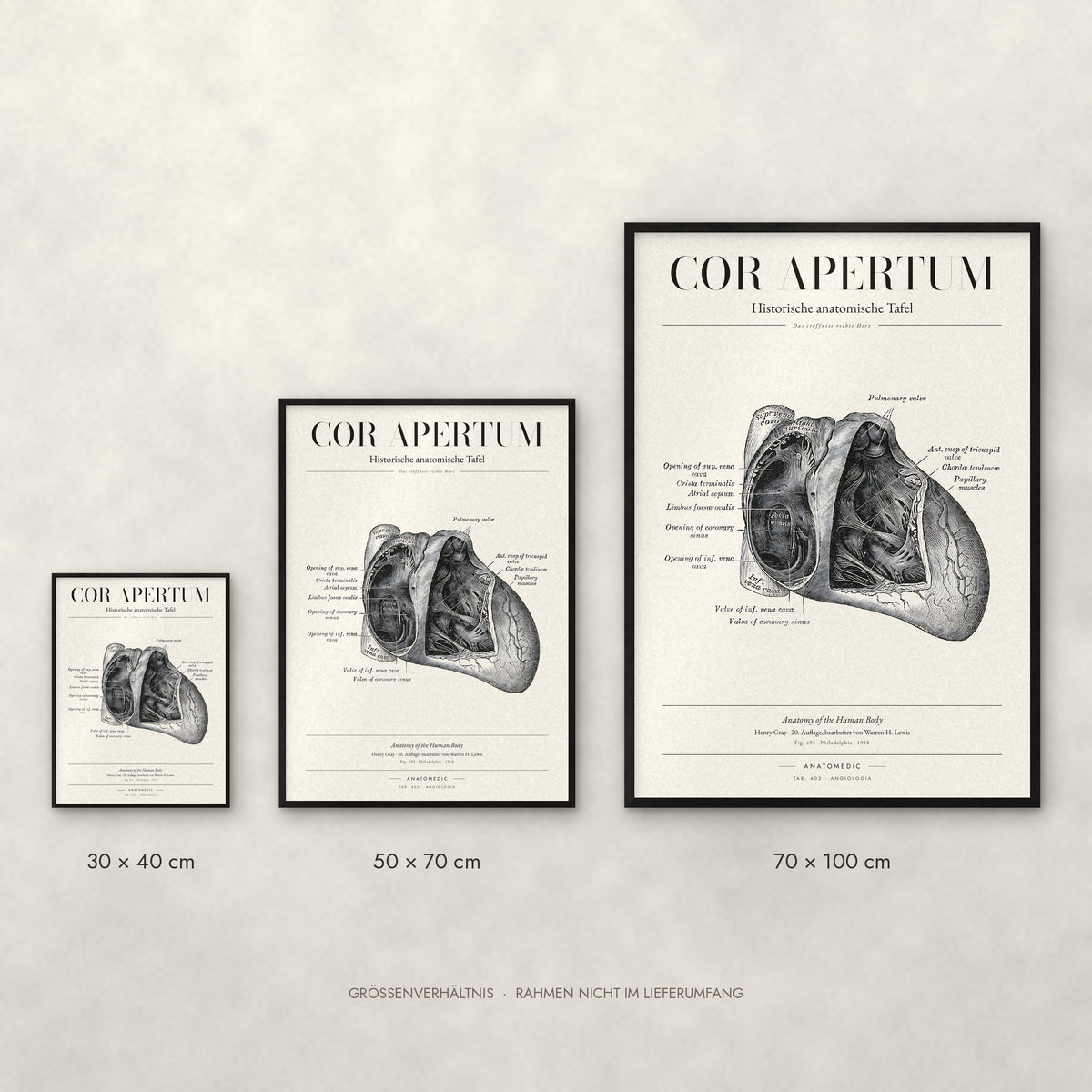 Cor Apertum Poster im Größenvergleich: 30 × 40, 50 × 70 und 70 × 100 cm