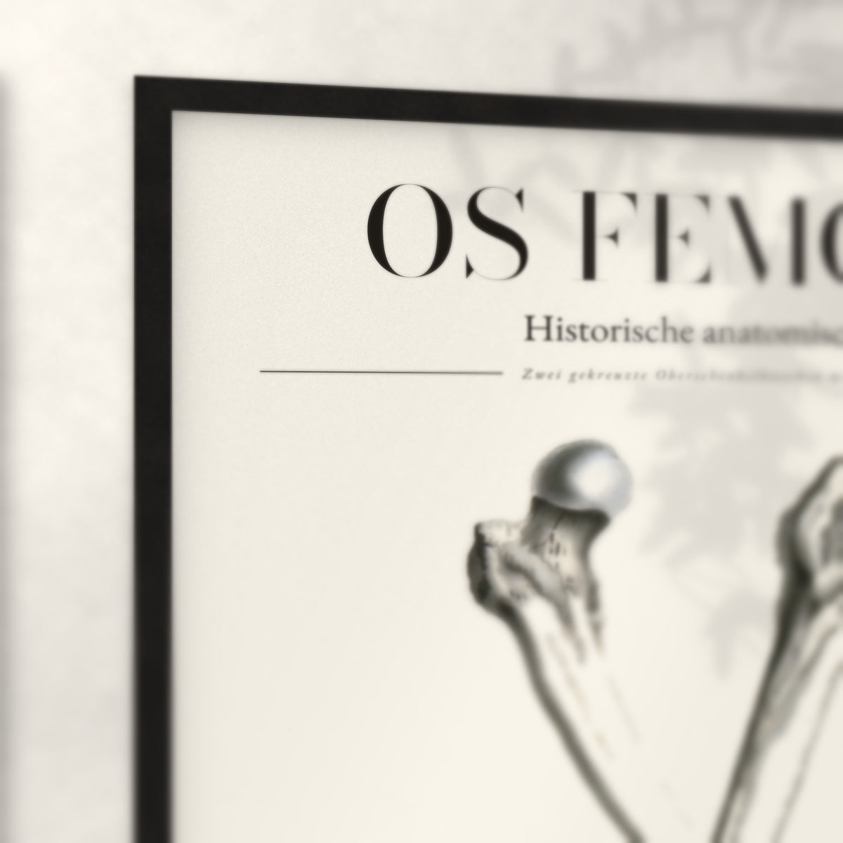 Nahaufnahme von Rahmenecke und Titel „Os Femoris“