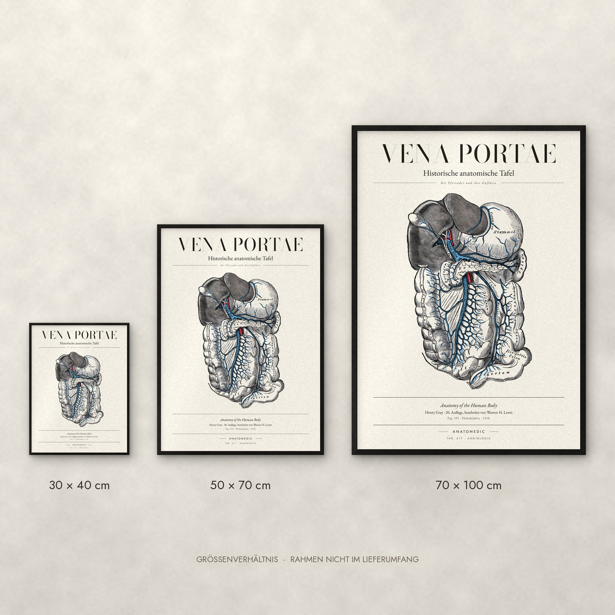 Vena Portae Poster im Größenvergleich: 30 × 40, 50 × 70 und 70 × 100 cm