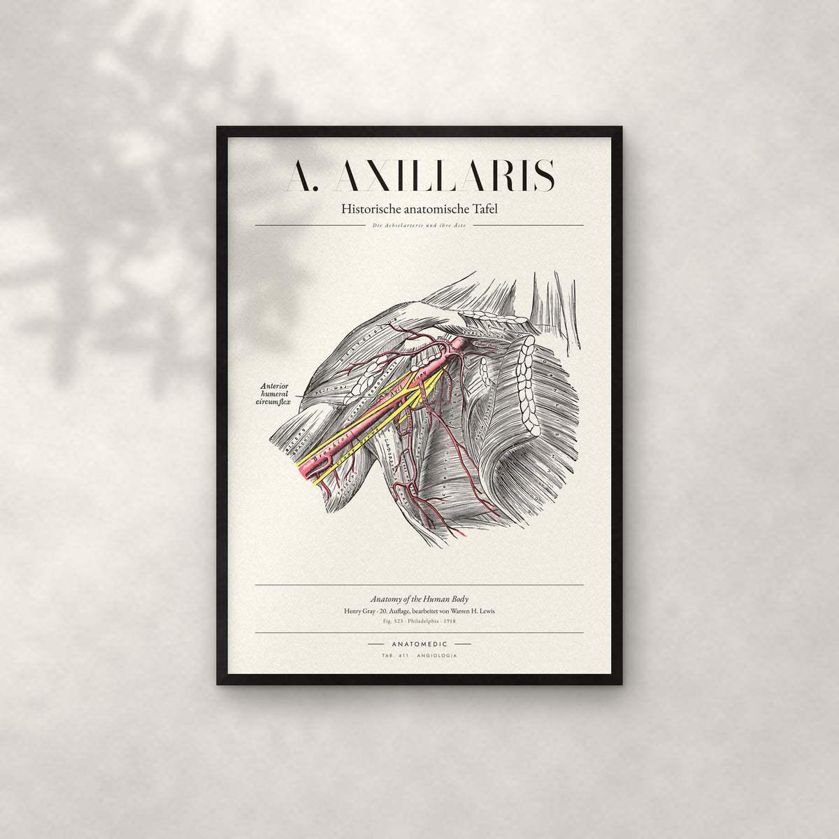 A. Axillaris Anatomie-Poster im schwarzen Rahmen an heller Wand