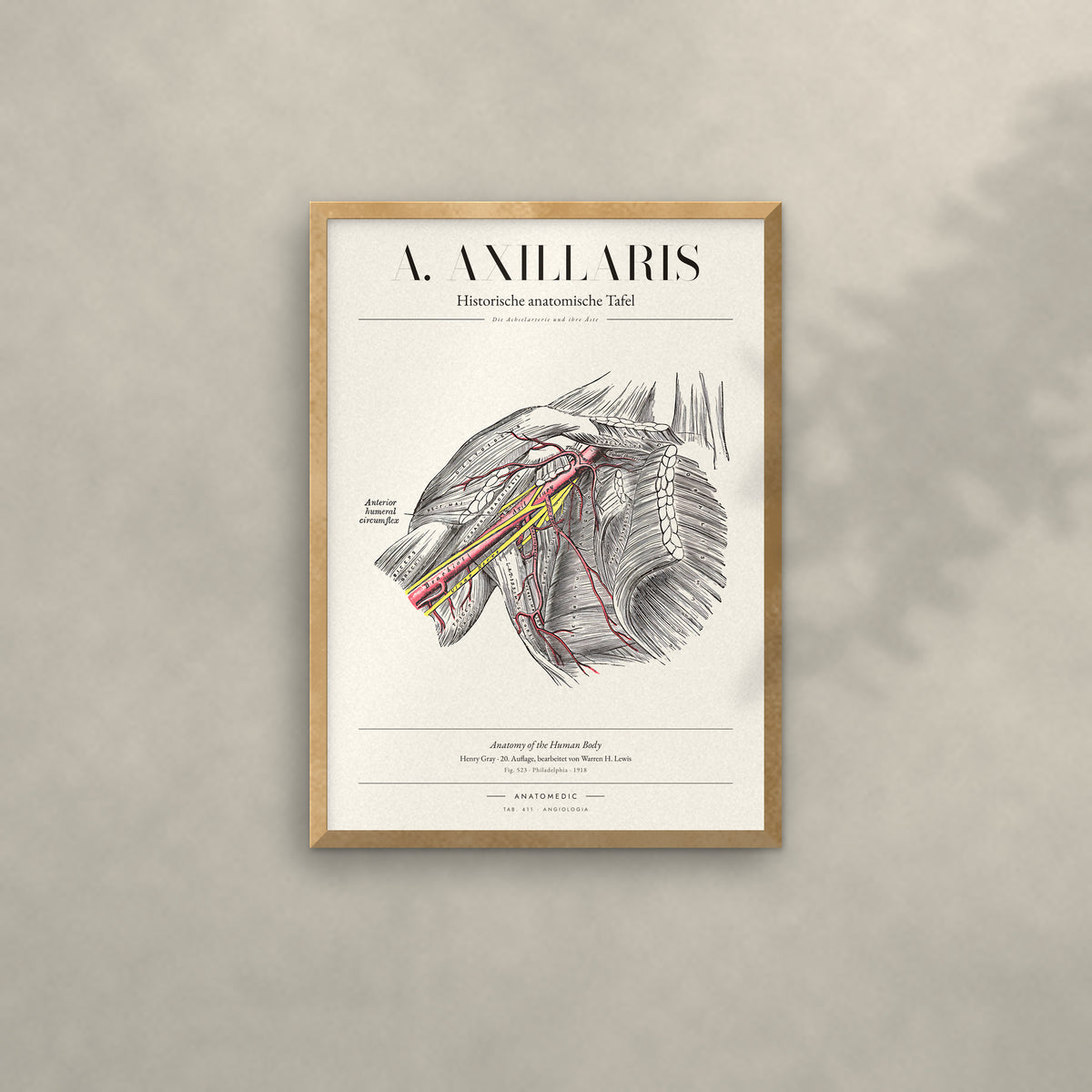 A. Axillaris Anatomie-Poster im Eichenrahmen an heller Wand