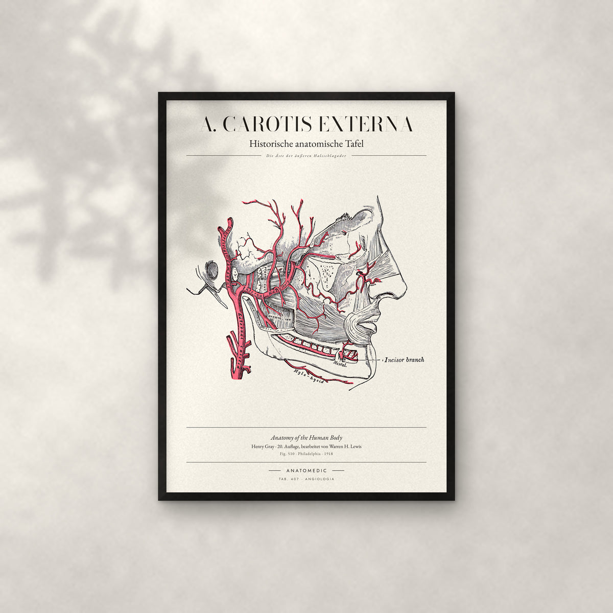 A. Carotis Externa Anatomie-Poster im schwarzen Rahmen an heller Wand