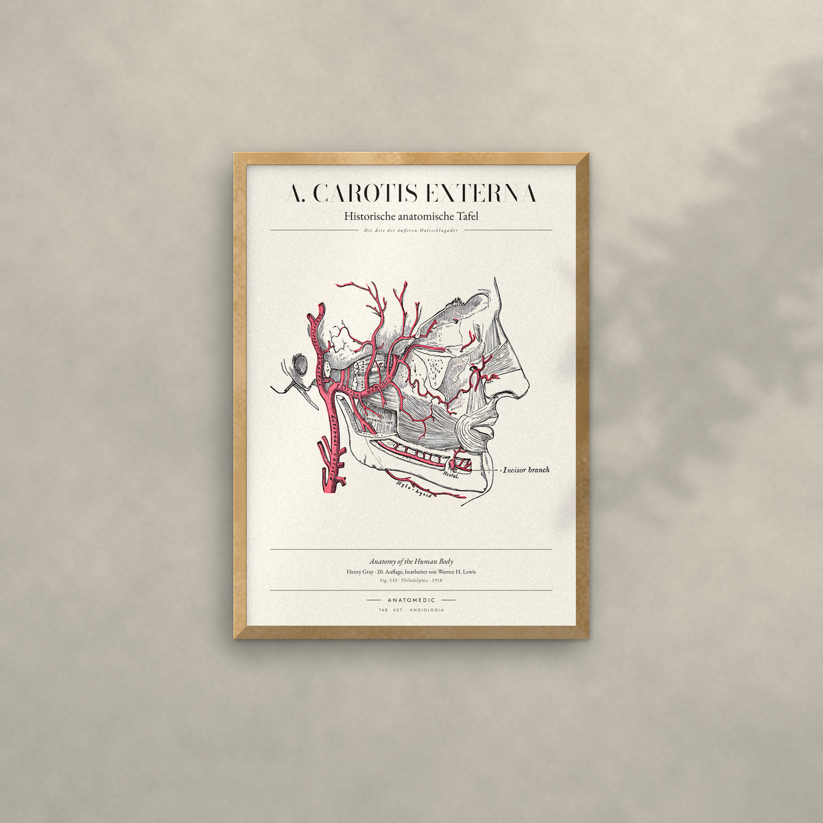 A. Carotis Externa Anatomie-Poster im Eichenrahmen an heller Wand