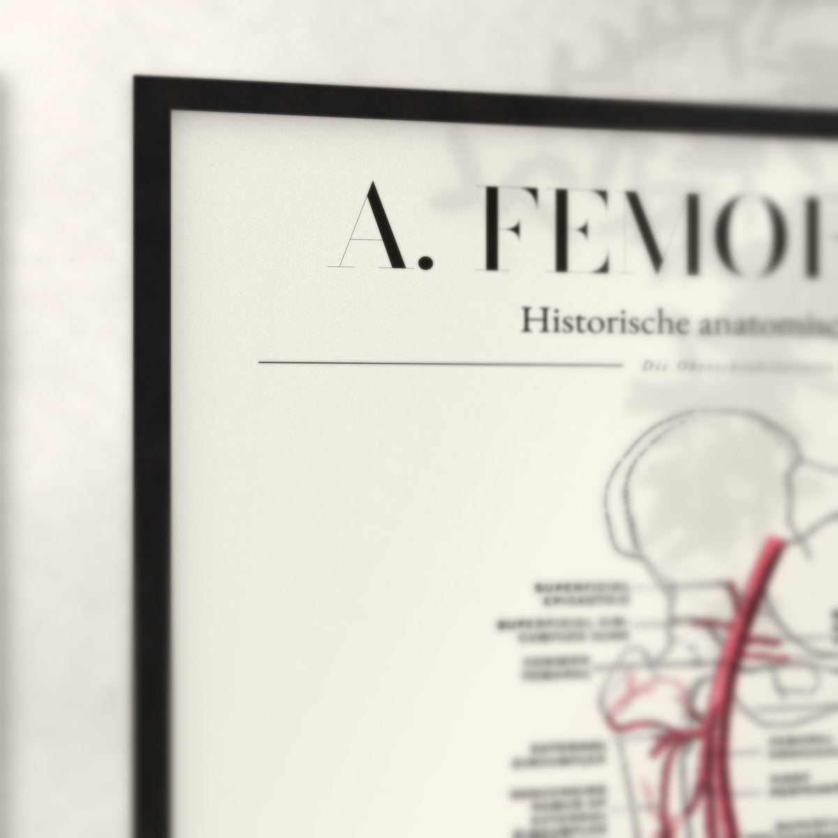 Nahaufnahme von Rahmenecke und Titel „A. Femoralis“