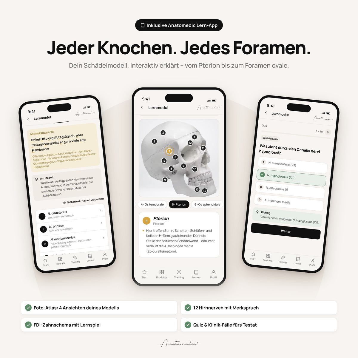 Anatomedic-App zum Schädelmodell: Foto-Atlas, Hirnnerven und Quiz
