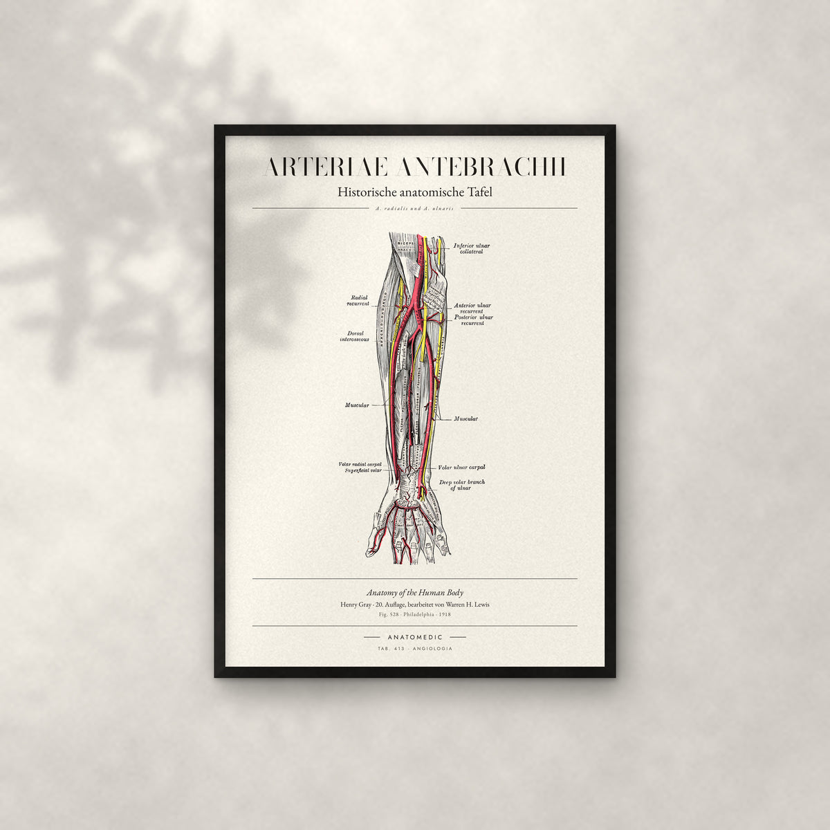 Arteriae Antebrachii Anatomie-Poster im schwarzen Rahmen an heller Wand