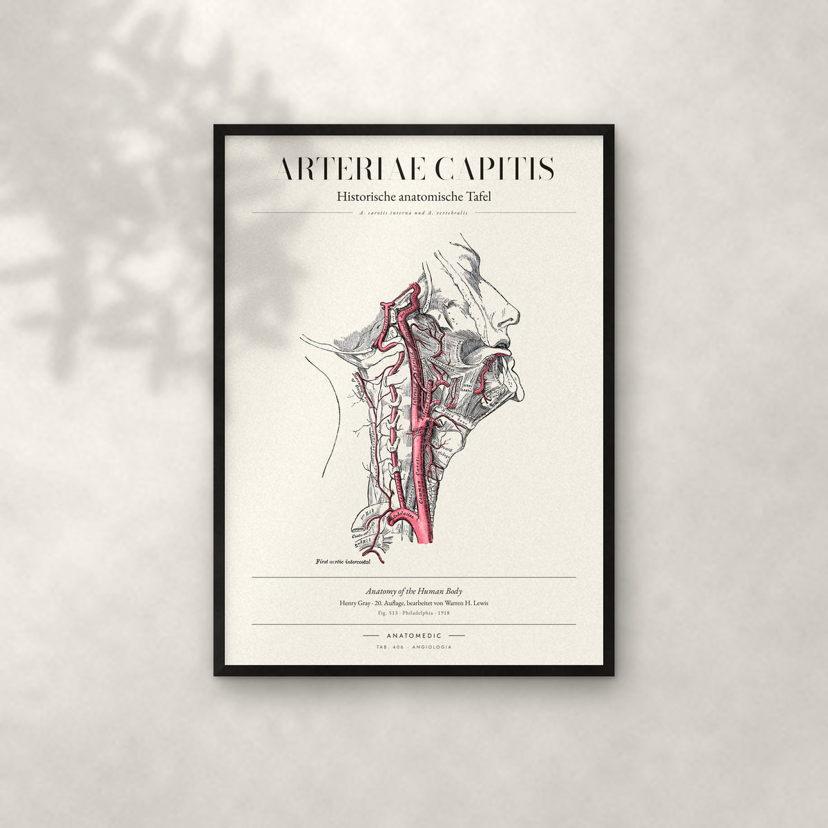 Arteriae Capitis Anatomie-Poster im schwarzen Rahmen an heller Wand