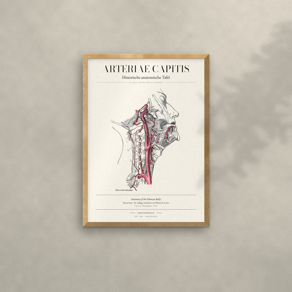 Arteriae Capitis Anatomie-Poster im Eichenrahmen an heller Wand