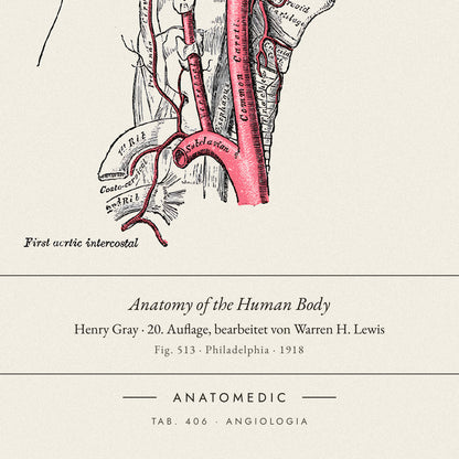 Nahaufnahme der Bildunterschrift: Anatomy of the Human Body · Henry Gray · 20. Auflage, bearbeitet von Warren H. Lewis, TAB. 406 · ANGIOLOGIA