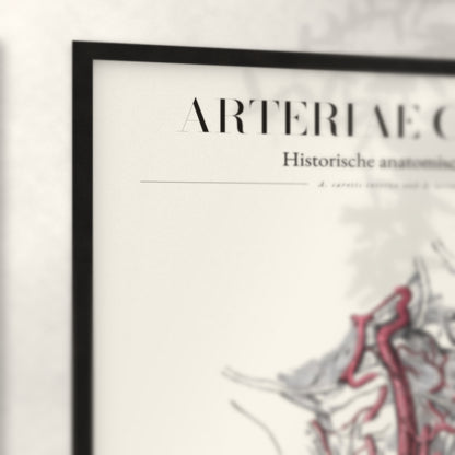 Nahaufnahme von Rahmenecke und Titel „Arteriae Capitis“