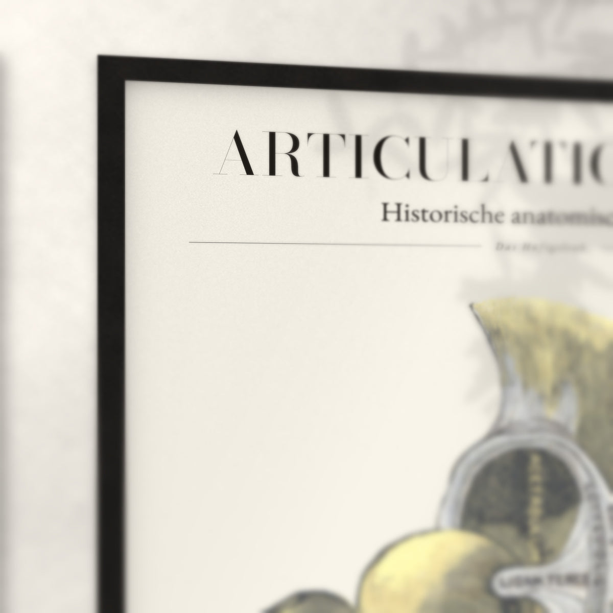 Nahaufnahme von Rahmenecke und Titel „Articulatio Coxae“