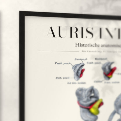 Nahaufnahme von Rahmenecke und Titel „Auris Interna“