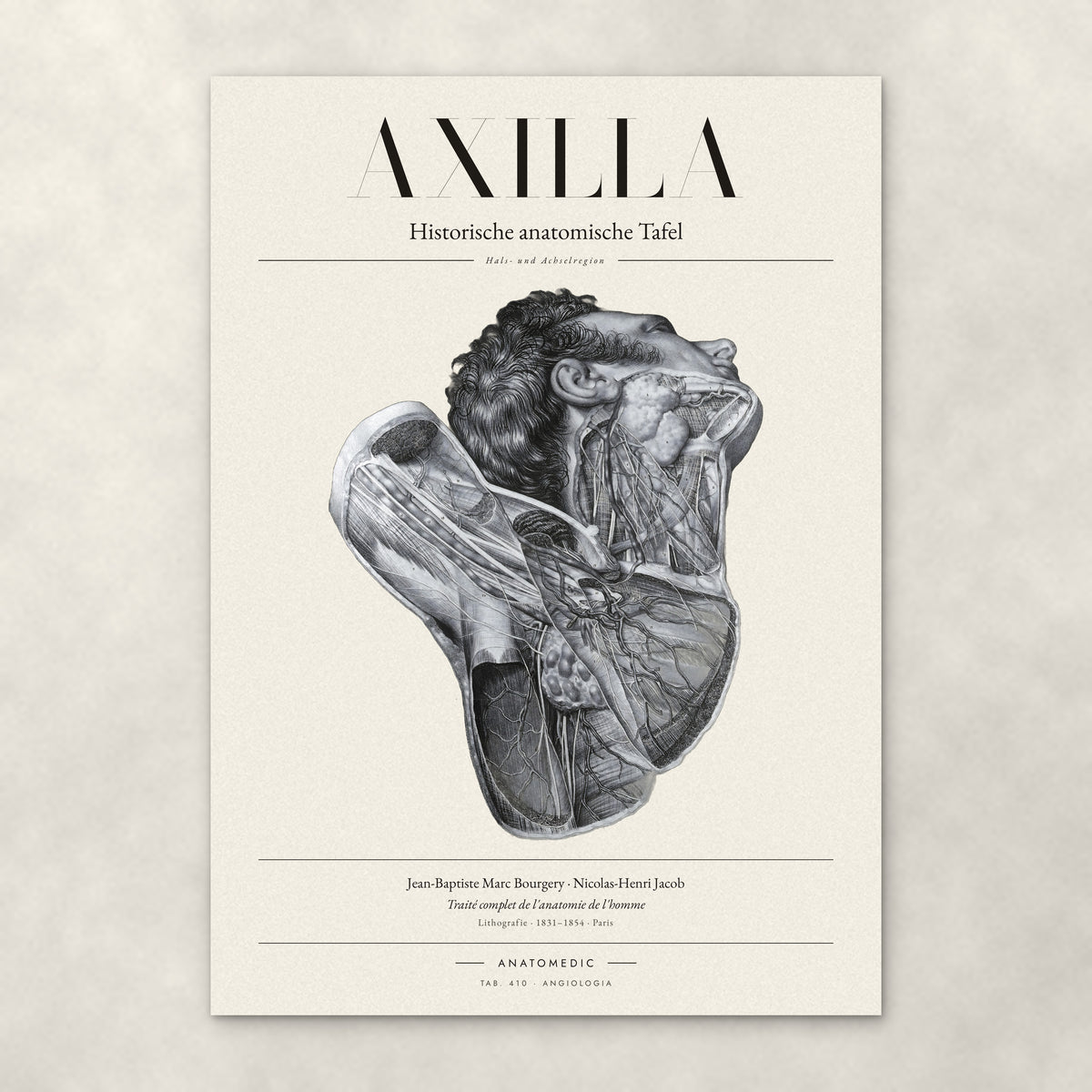 Axilla – Anatomie-Poster von ANATOMEDIC, historische anatomische Tafel: Hals- und Achselregion