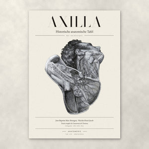 Axilla – Anatomie-Poster von ANATOMEDIC, historische anatomische Tafel: Hals- und Achselregion