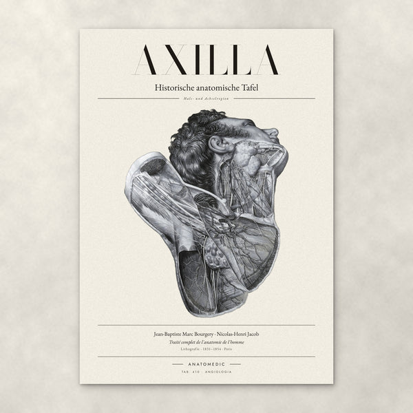 Axilla – Anatomie-Poster von ANATOMEDIC, historische anatomische Tafel: Hals- und Achselregion