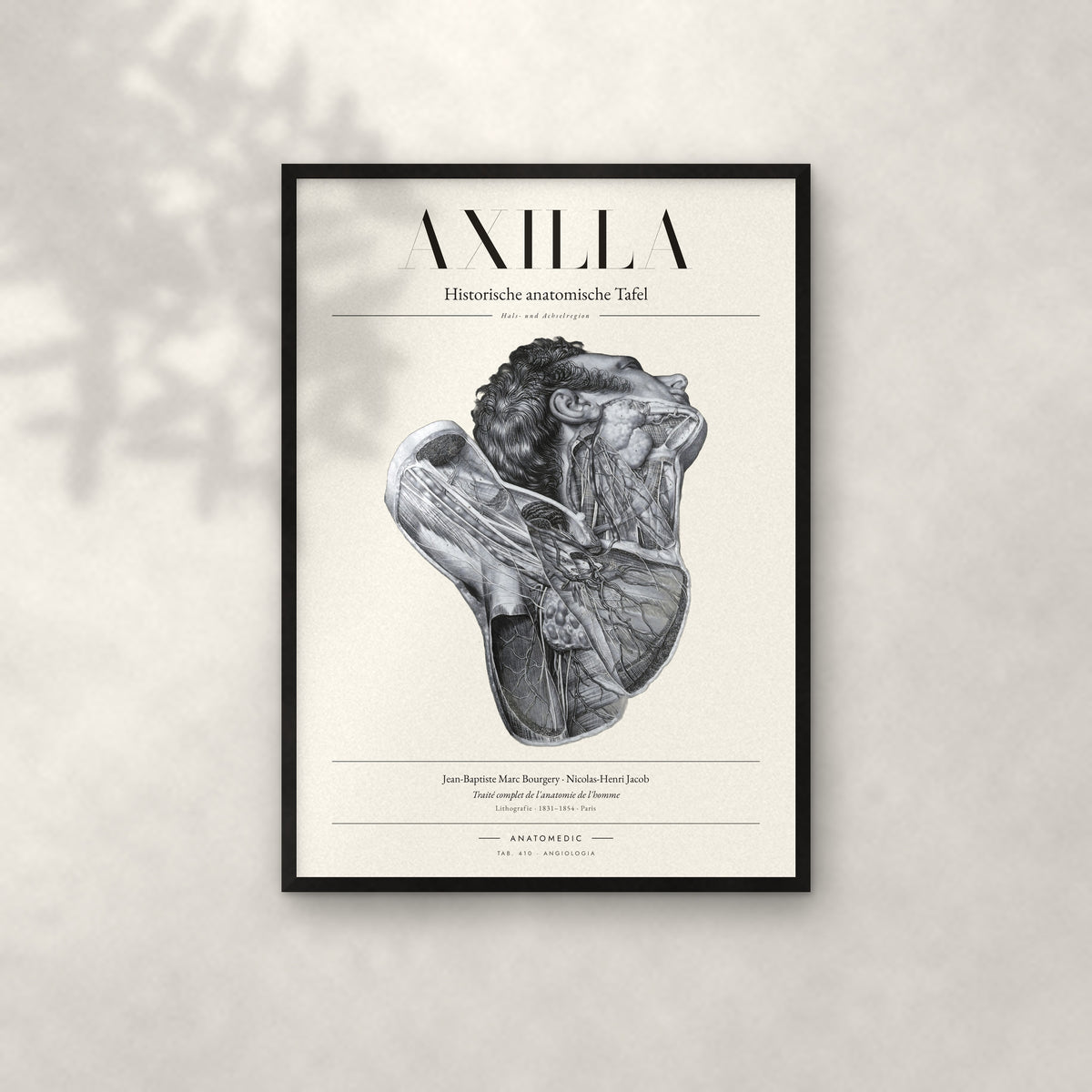 Axilla Anatomie-Poster im schwarzen Rahmen an heller Wand