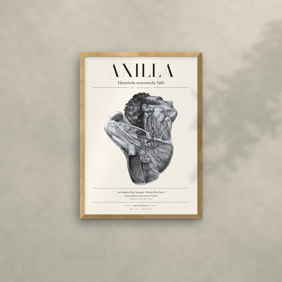 Axilla Anatomie-Poster im Eichenrahmen an heller Wand
