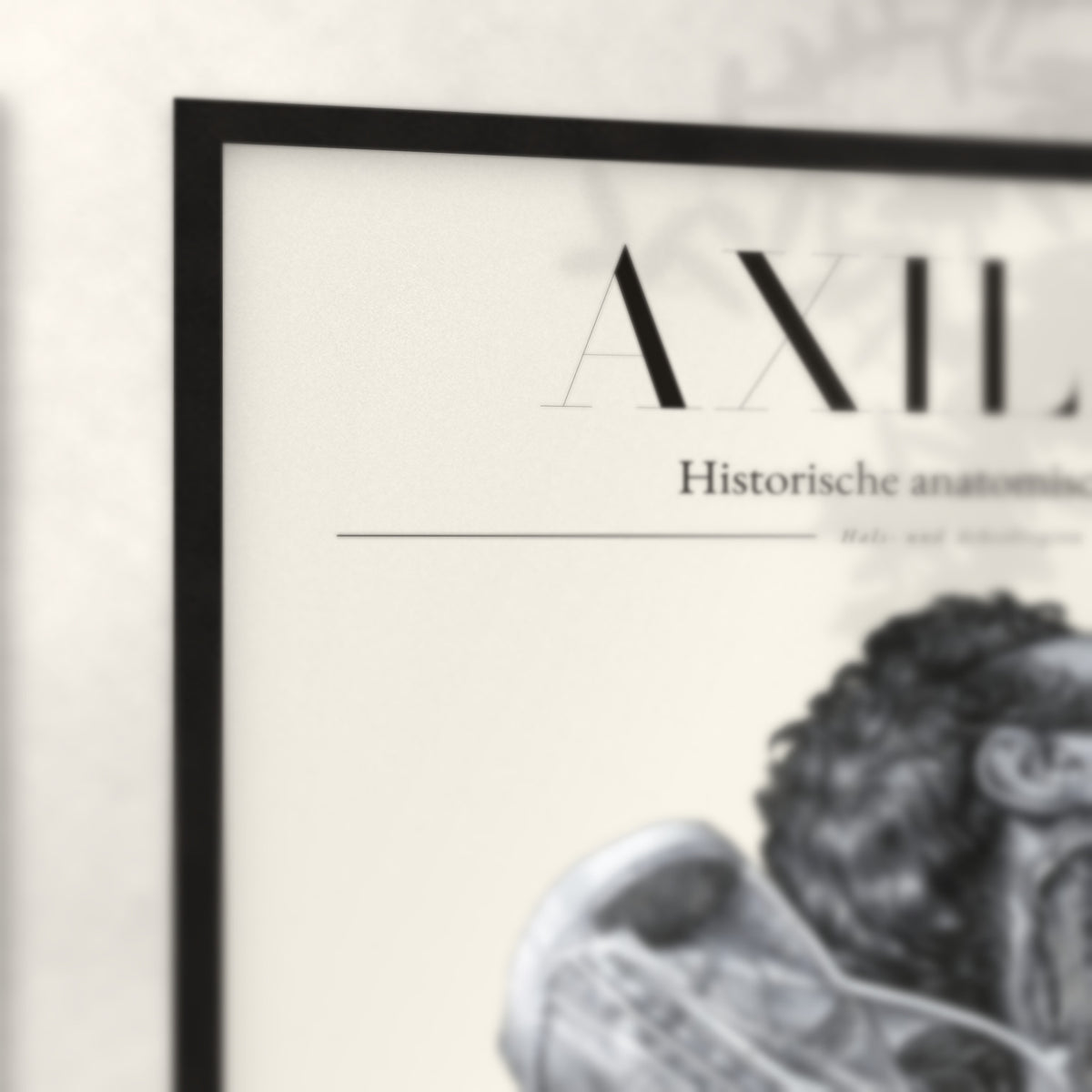 Nahaufnahme von Rahmenecke und Titel „Axilla“