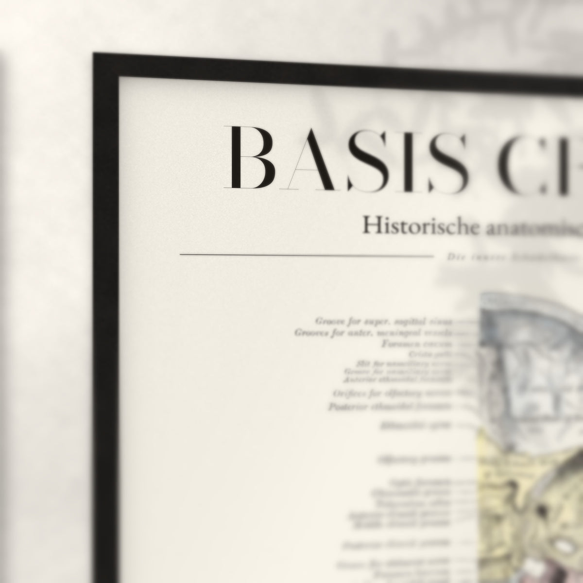 Nahaufnahme von Rahmenecke und Titel „Basis Cranii – Die innere Schädelbasis“