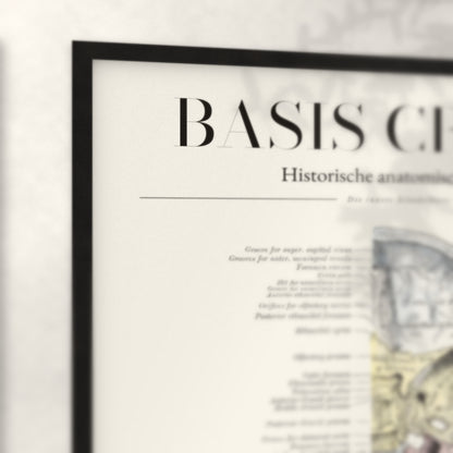 Nahaufnahme von Rahmenecke und Titel „Basis Cranii – Die innere Schädelbasis“