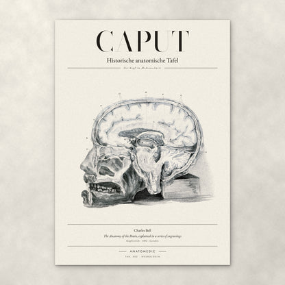 Caput – Anatomie-Poster von ANATOMEDIC, historische anatomische Tafel: Der Kopf im Medianschnitt