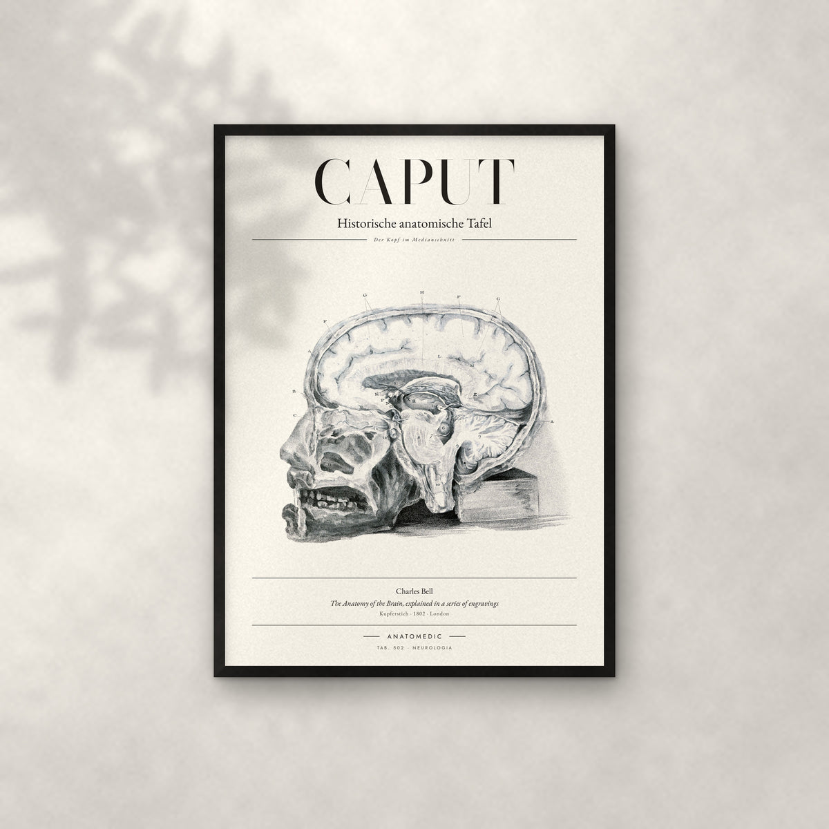 Caput Anatomie-Poster im schwarzen Rahmen an heller Wand