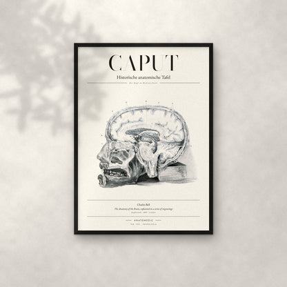 Caput Anatomie-Poster im schwarzen Rahmen an heller Wand