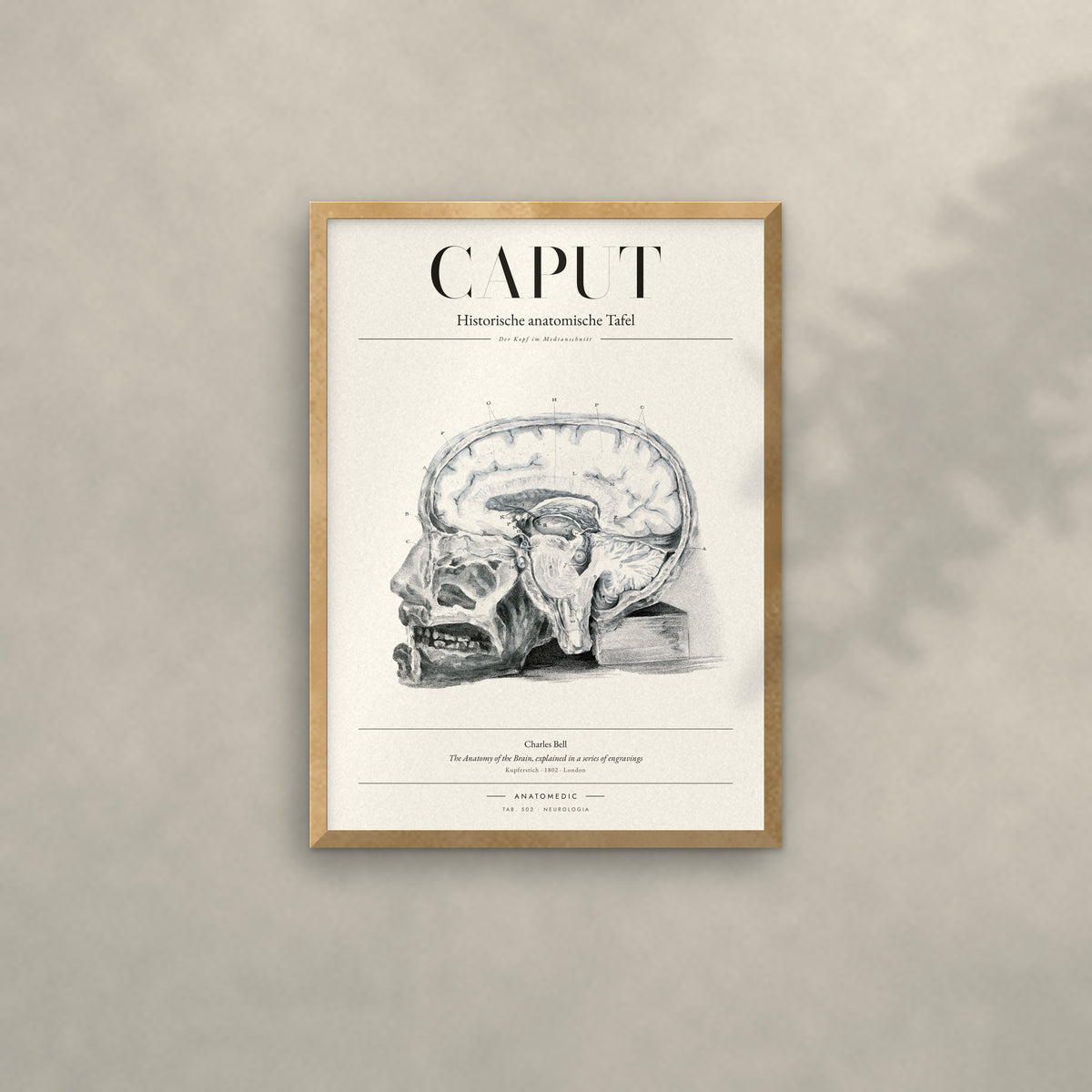 Caput Anatomie-Poster im Eichenrahmen an heller Wand