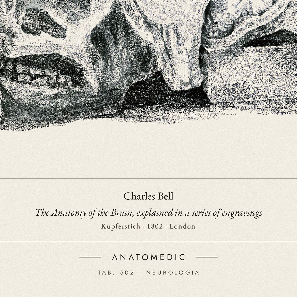 Nahaufnahme der Bildunterschrift: Charles Bell · The Anatomy of the Brain, explained in a series of engravings, TAB. 502 · NEUROLOGIA