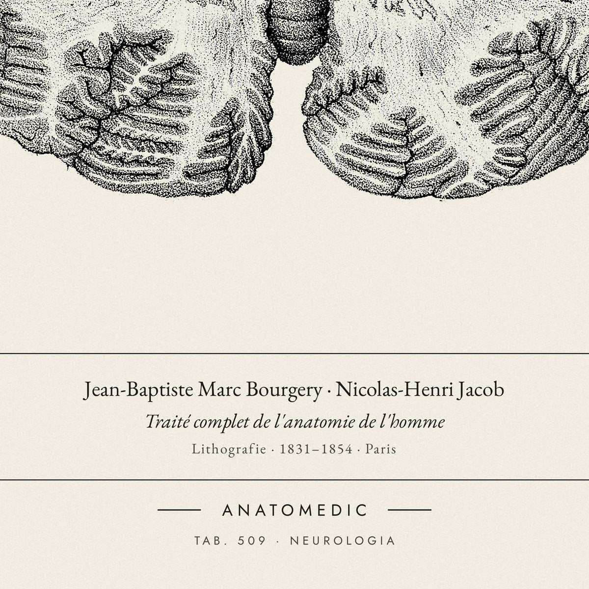 Nahaufnahme der Bildunterschrift: Jean-Baptiste Marc Bourgery · Nicolas-Henri Jacob · Traité complet de l'anatomie de l'homme, TAB. 509 · NEUROLOGIA