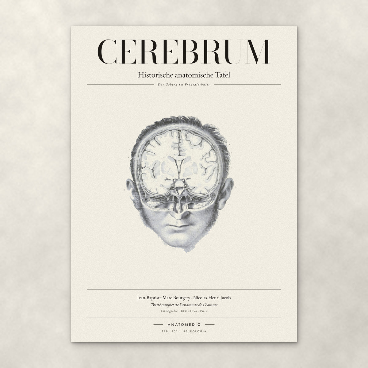 Cerebrum – Anatomie-Poster von ANATOMEDIC, historische anatomische Tafel: Das Gehirn im Frontalschnitt