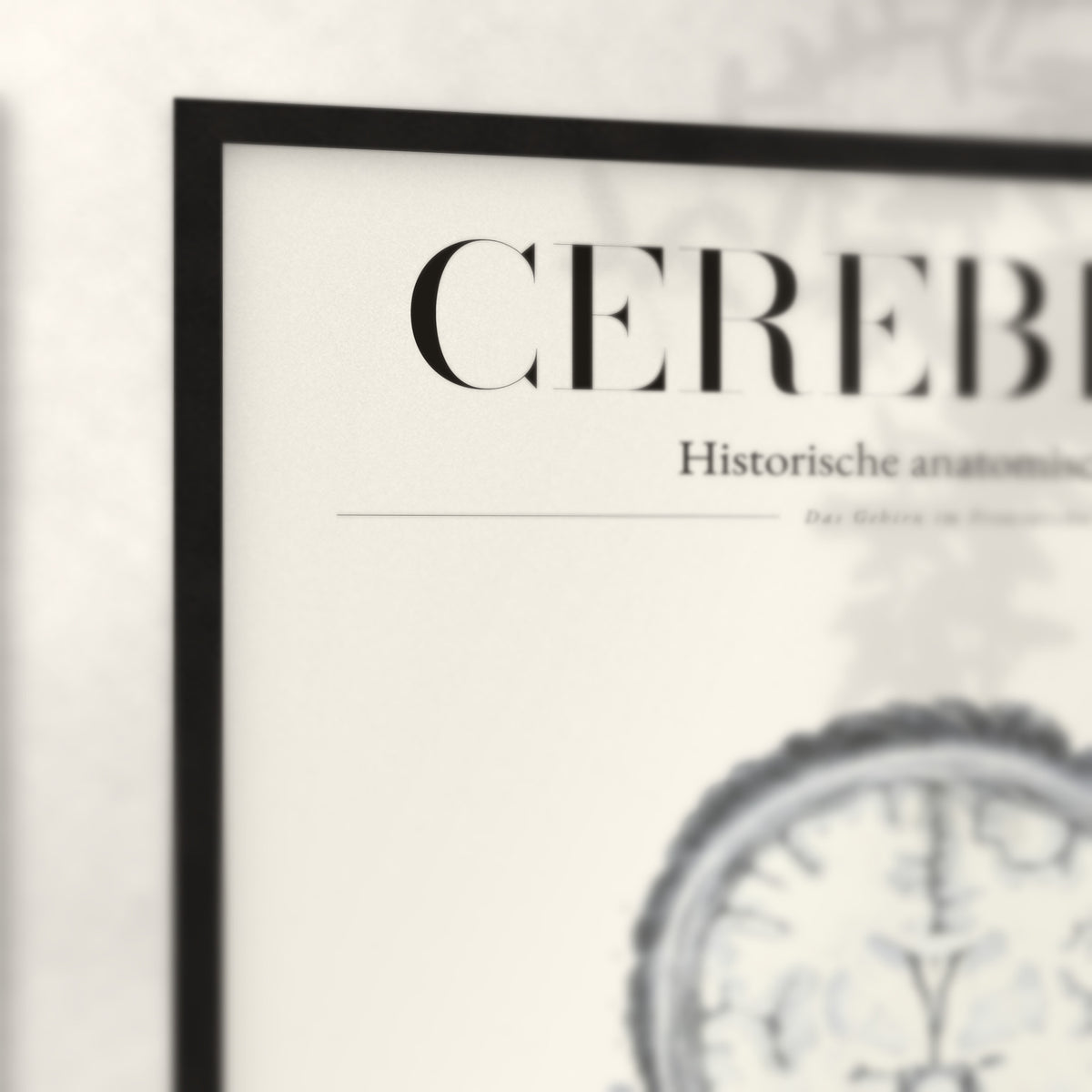 Nahaufnahme von Rahmenecke und Titel „Cerebrum“