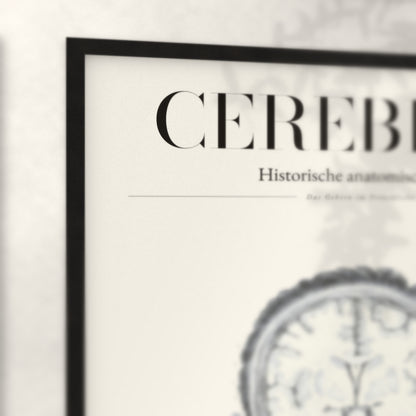 Nahaufnahme von Rahmenecke und Titel „Cerebrum“