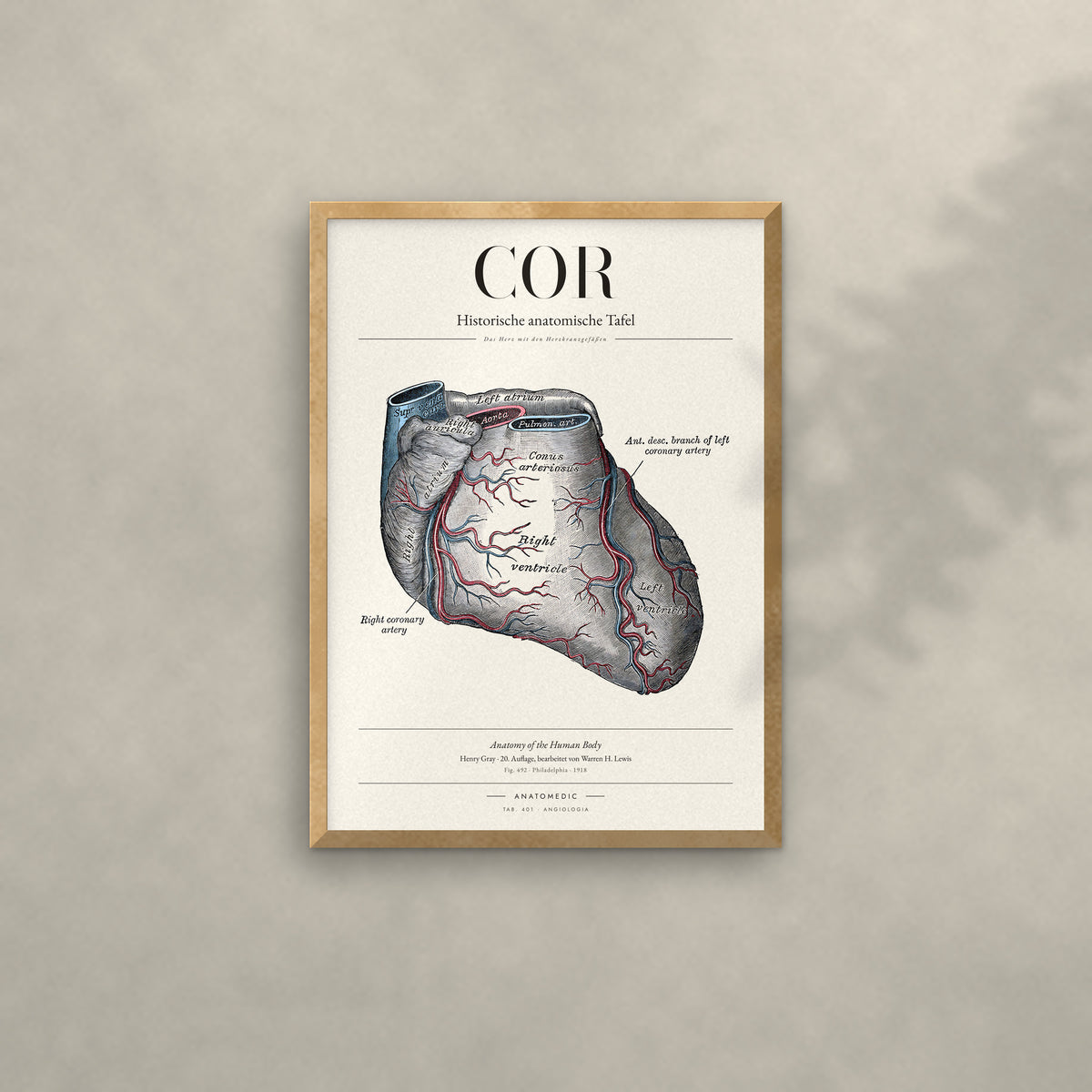 Cor Anatomie-Poster im Eichenrahmen an heller Wand