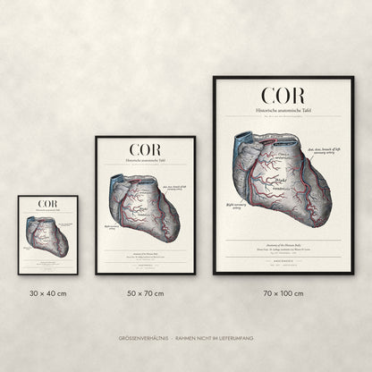 Cor Poster im Größenvergleich: 30 × 40, 50 × 70 und 70 × 100 cm