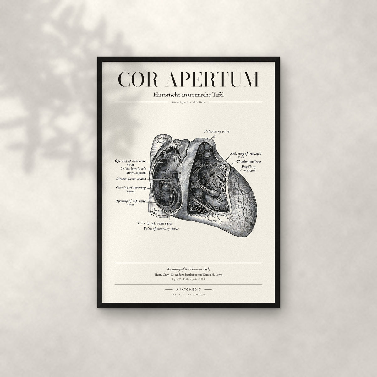 Cor Apertum Anatomie-Poster im schwarzen Rahmen an heller Wand