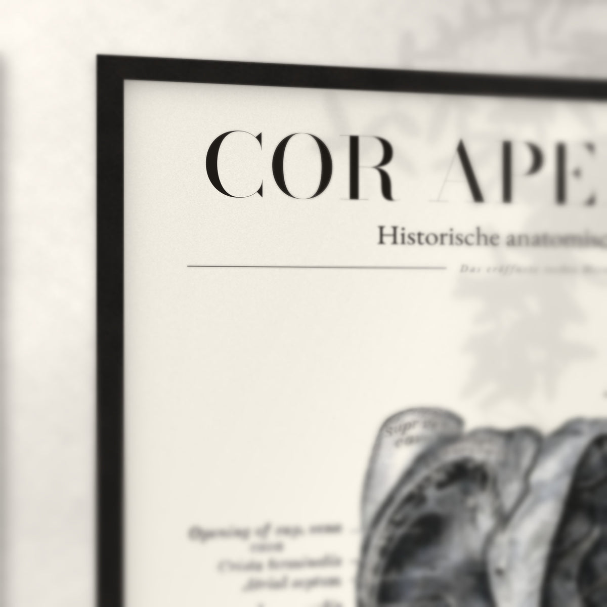 Nahaufnahme von Rahmenecke und Titel „Cor Apertum“