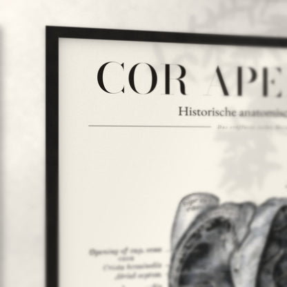 Nahaufnahme von Rahmenecke und Titel „Cor Apertum“