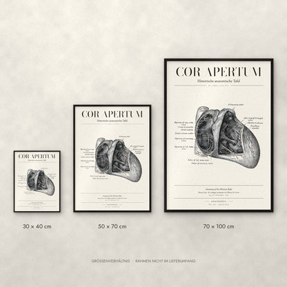 Cor Apertum Poster im Größenvergleich: 30 × 40, 50 × 70 und 70 × 100 cm