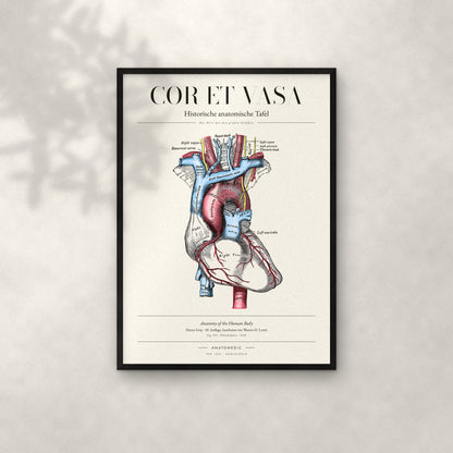 Cor et Vasa Anatomie-Poster im schwarzen Rahmen an heller Wand