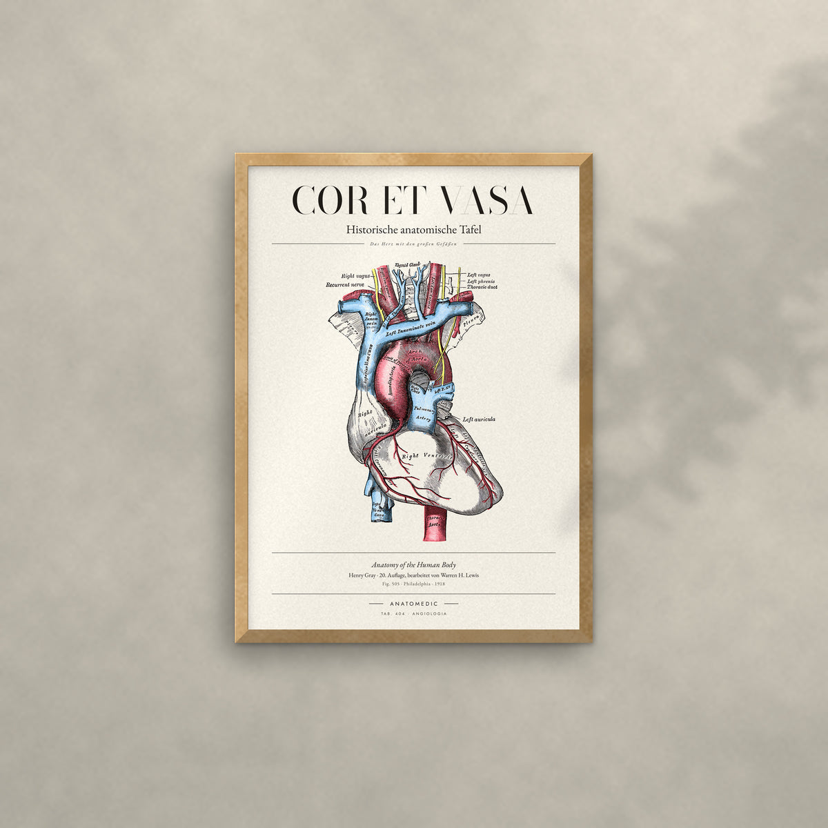 Cor et Vasa Anatomie-Poster im Eichenrahmen an heller Wand