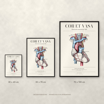 Cor et Vasa Poster im Größenvergleich: 30 × 40, 50 × 70 und 70 × 100 cm