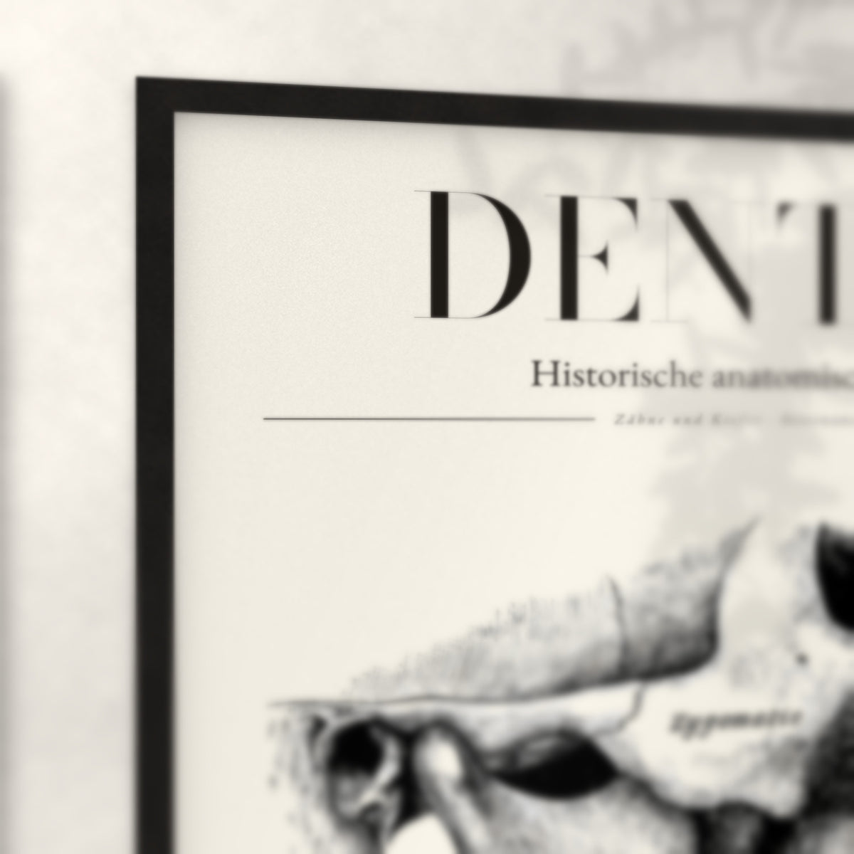 Nahaufnahme von Rahmenecke und Titel „Dentes“