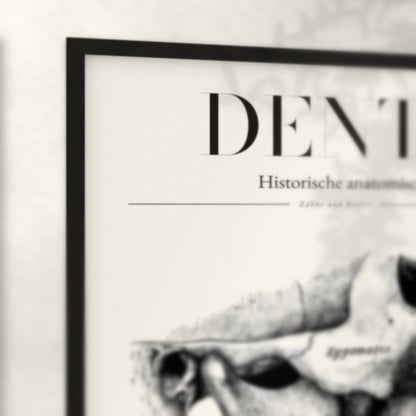 Nahaufnahme von Rahmenecke und Titel „Dentes“